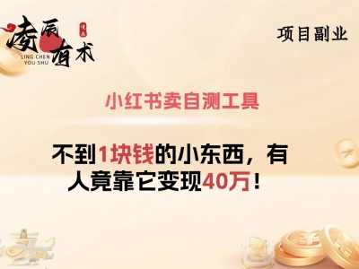 小红书卖自测工具