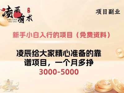 新手入行了解项目