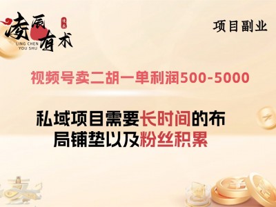 视频号卖二胡一单利润500-5000+