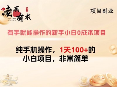 有手就能操作的新手小白0成本项目